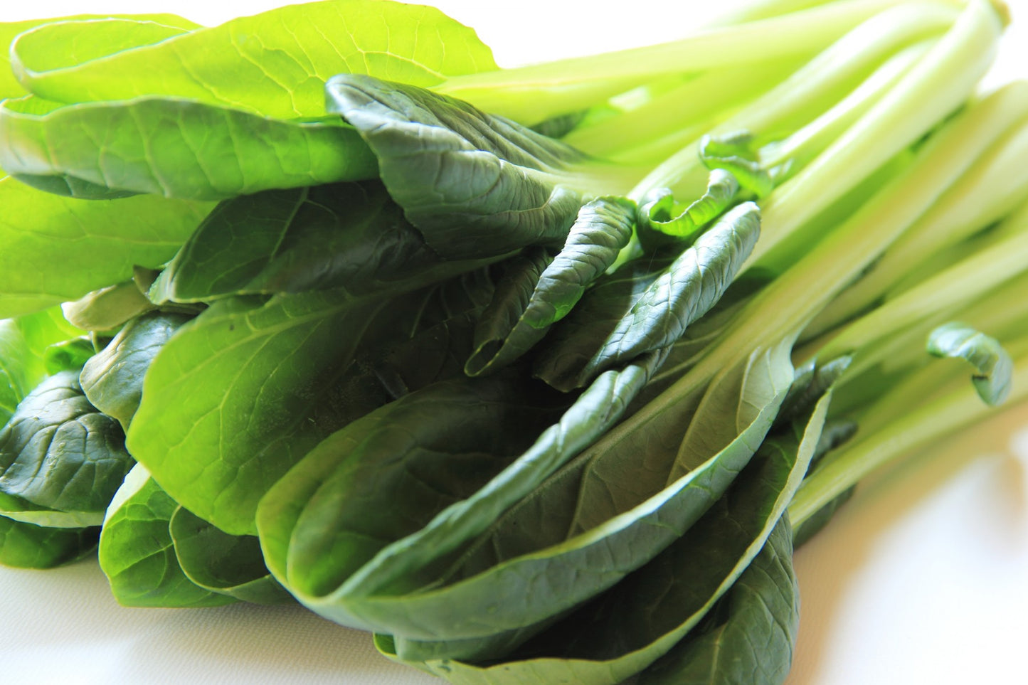 野菜粉末「小松菜」200メッシュ