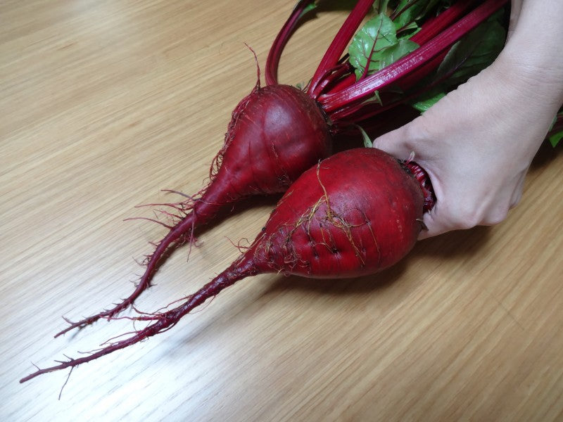 熊本県あさぎり町産 冷凍ビーツ ペースト 300g~ 野菜 栄養