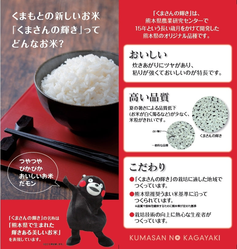 白米【新米予約 10月10日頃初出荷】熊本県あさぎり町産 「くまさんの輝き」 白米(令和7年産)