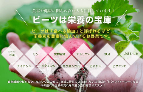 ビーツ特集