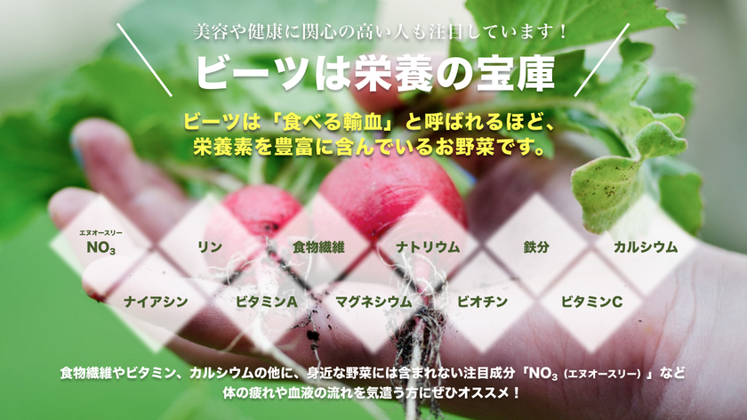 ビーツ特集