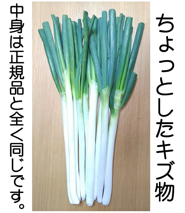 訳あり 白ねぎ 　計3kg 予約販売 サイズ混載 常温便