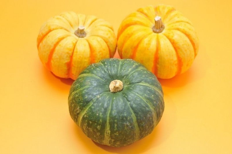 野菜粉末「かぼちゃ」60メッシュ　少し細かい（お試し100g）