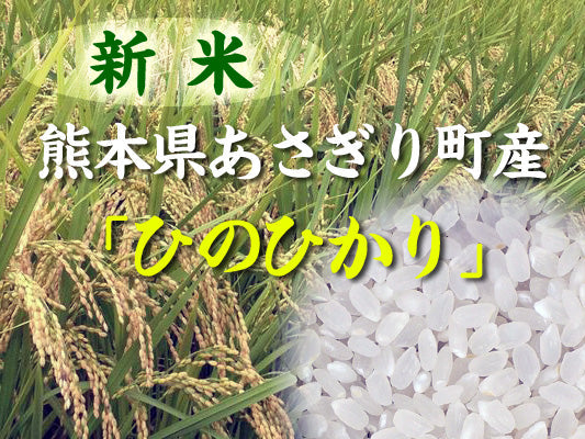 白米【新米予約　１０月10日頃初出荷】あさぎり町産　「ひのひかり」　白米（令和７年産）