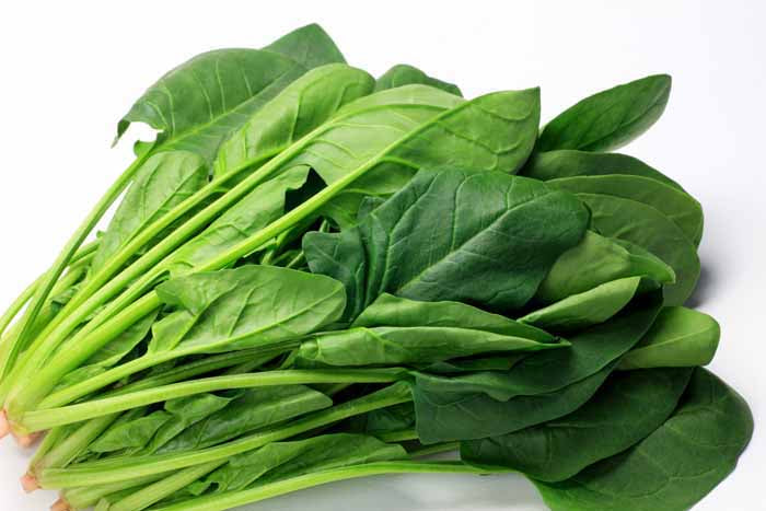 野菜粉末「ほうれん草」150メッシュ（お試し100g）