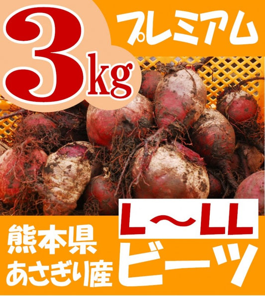 【プレミアム限定品】生ビーツ　大玉の完熟品（L〜LLサイズ）