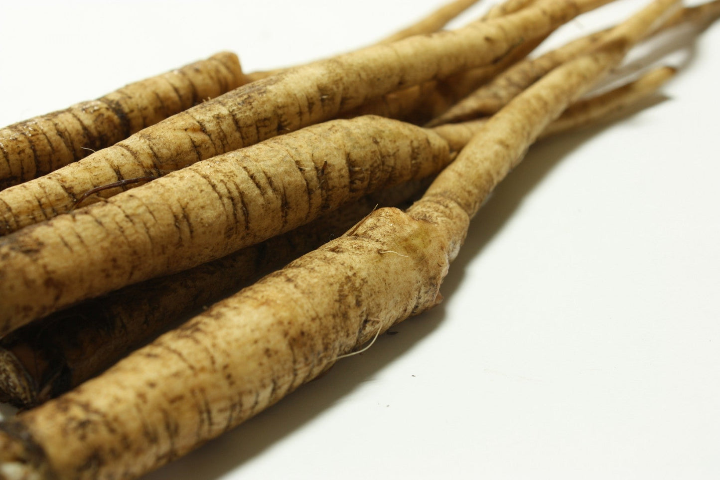 野菜粉末「ごぼう」200メッシュ（非常に目が細かい粉）（お試し100g）