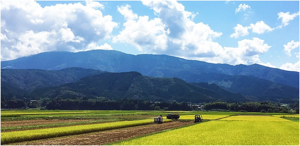 白米【新米予約　10月10日頃初出荷】熊本県あさぎり町産　「くまさんの輝き」　白米（令和7年産）