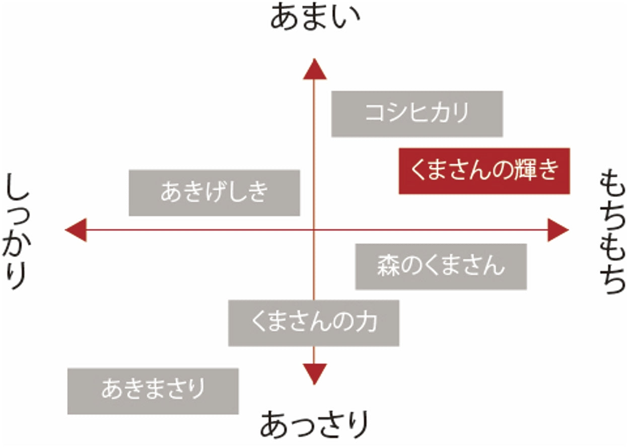 白米【新米予約　10月10日頃初出荷】熊本県あさぎり町産　「くまさんの輝き」　白米（令和7年産）