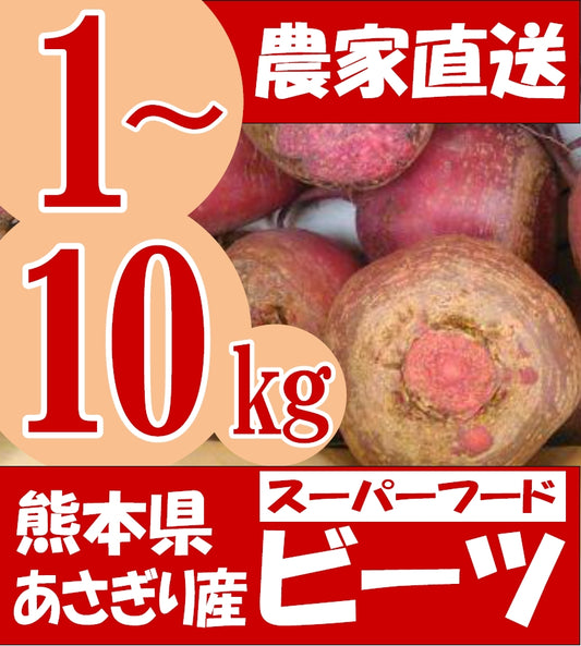熊本県あさぎり町産　生ビーツ　有機野菜　栄養　[予約販売]