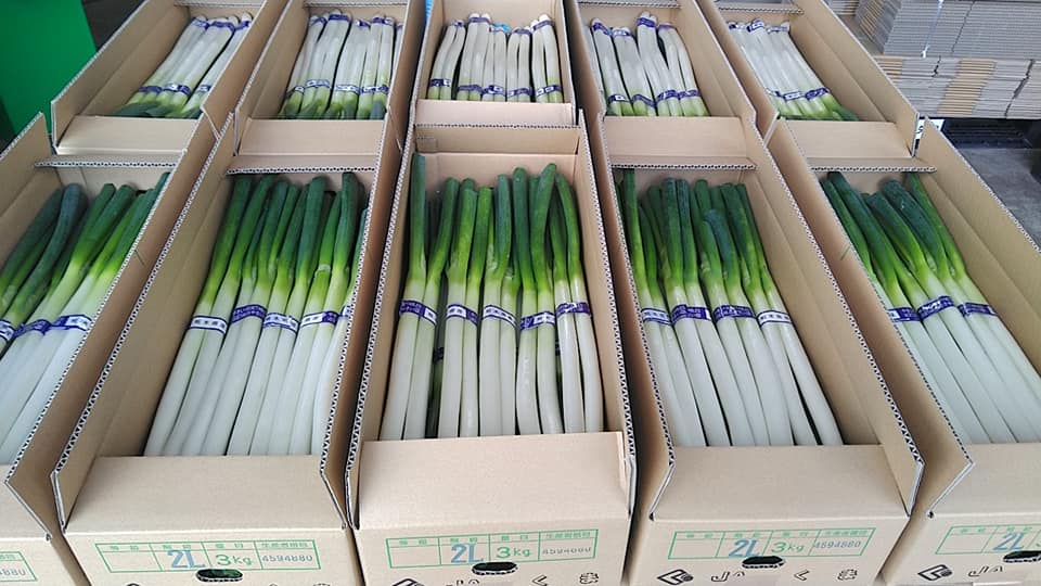 乾燥野菜　”白ねぎ”　徳用タイプ　無添加