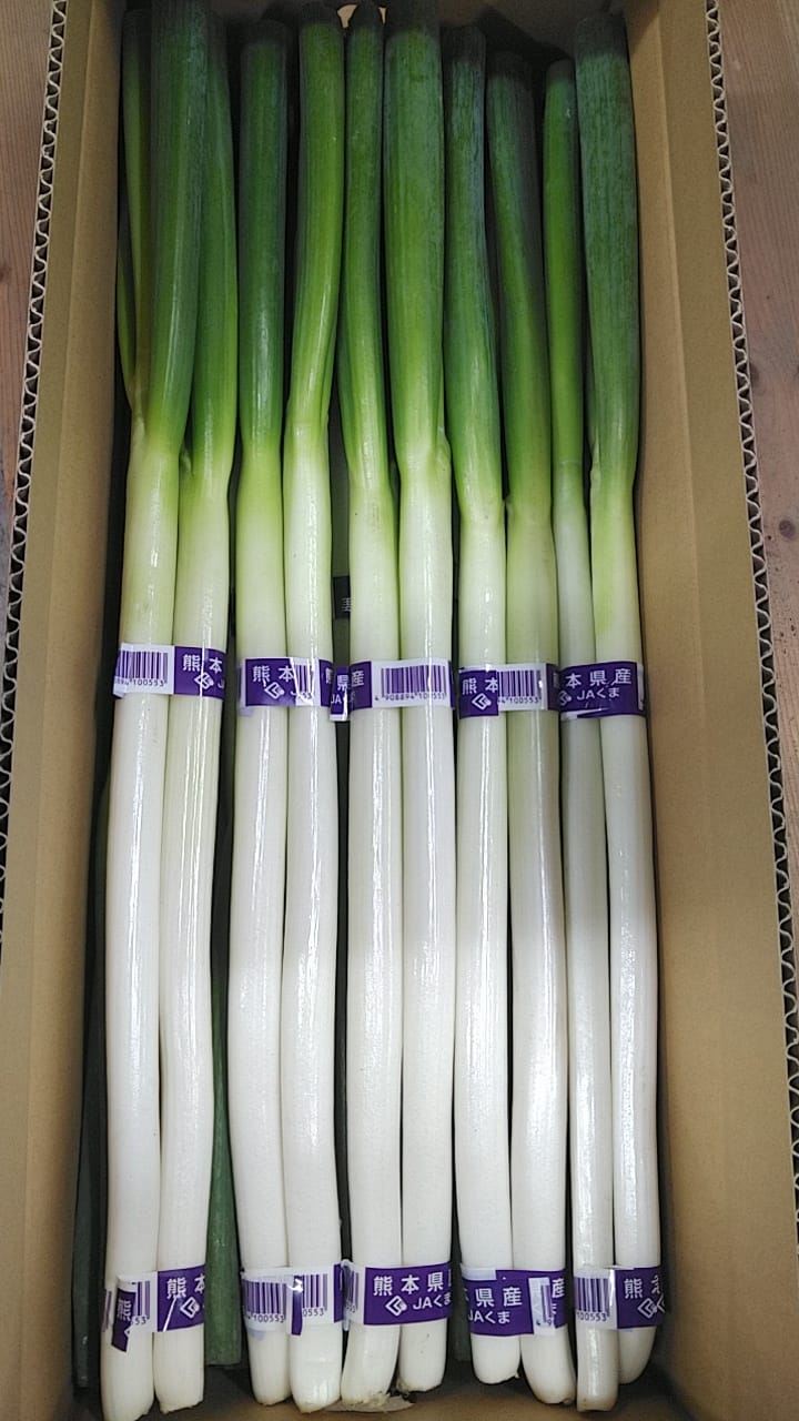 乾燥野菜　”白ねぎ”　徳用タイプ　無添加