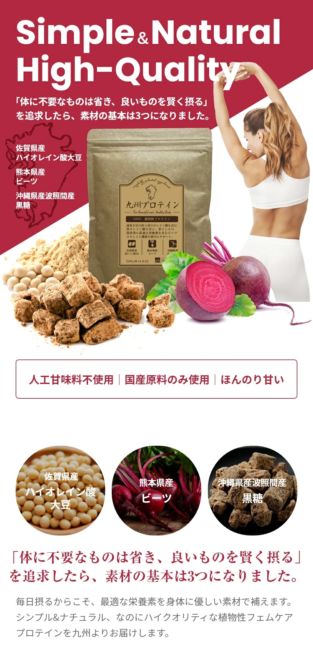 【ゲリラSALE 】九州プロテイン （280ｇ）14食入り（メール便 送料無料）