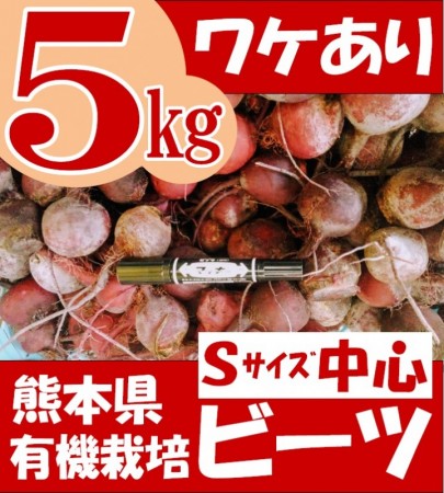 有機栽培　熊本県あさぎり町産　ビーツ　5kg　(訳あり品S中心)　在庫限り