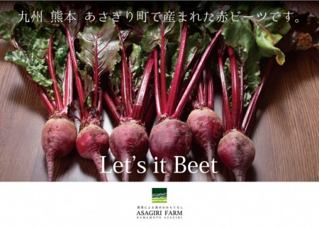 熊本県あさぎり町産　冷凍ビーツ　ペースト　300g　野菜　栄養