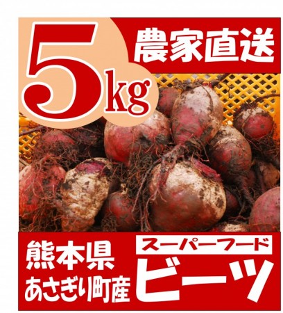 熊本県あさぎり町産　ビーツ　5kg　有機　野菜　栄養　予約販売