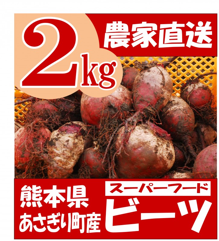 熊本県あさぎり町産　ビーツ　2kg　有機　野菜　栄養　予約販売